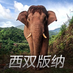 李铁律师回应是否申请再审：将在和李铁会见后商量一下